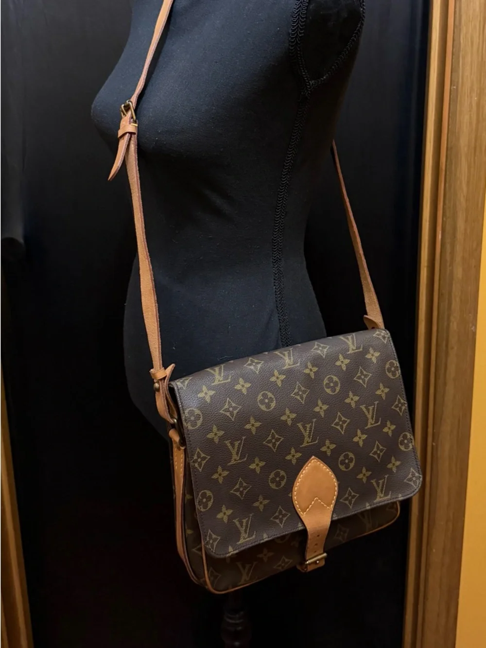 Louis Vuitton authentic louis